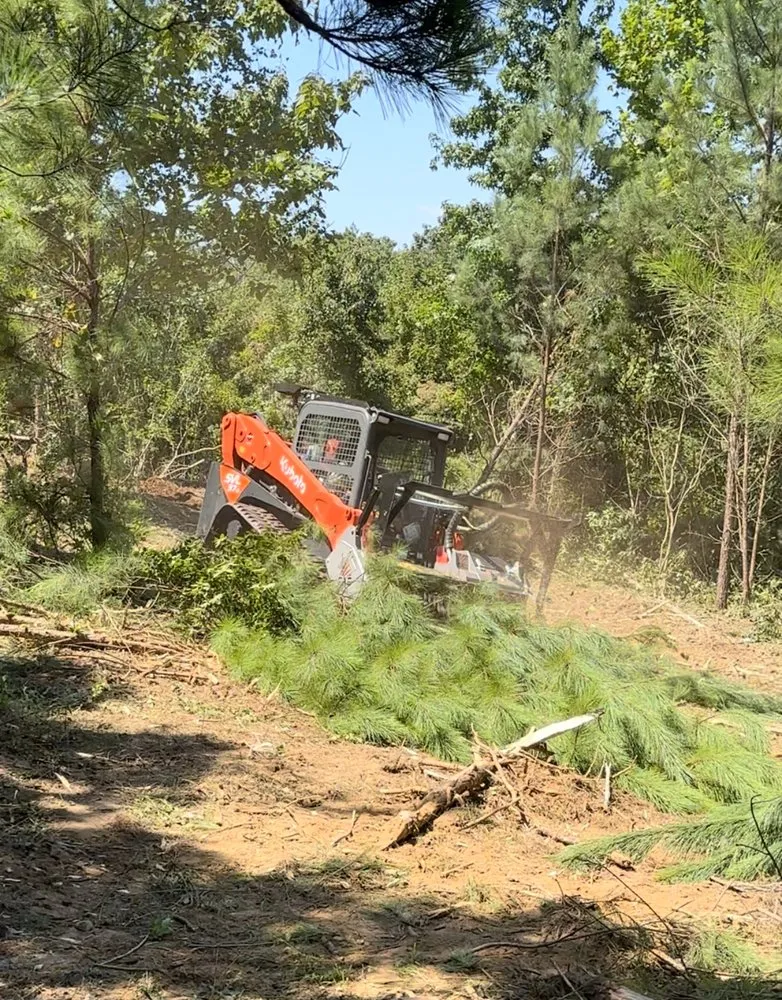 Top-rated landscape design for outdoor upgrades across Stockbridge, GA - Humanity Soil