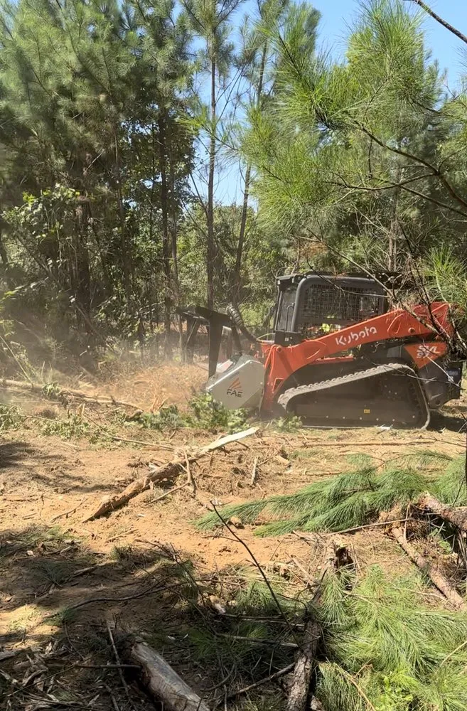 Professional residential landscaping in Stockbridge, GA - Humanity Soil