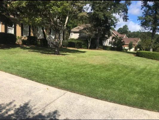 Affordable yard maintenance in Macon, GA by Humberto Angel Landscaping