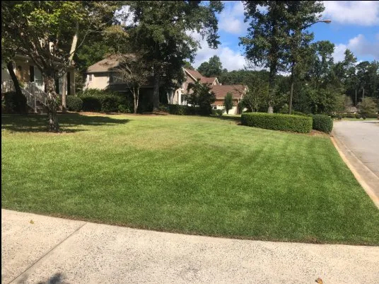 Reliable lawn care service for year-round maintenance in Macon, GA by Humberto Angel Landscaping