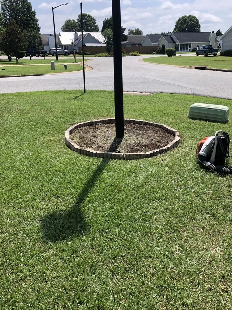 Expert yard maintenance for year-round maintenance in Macon, GA by Humberto Angel Landscaping