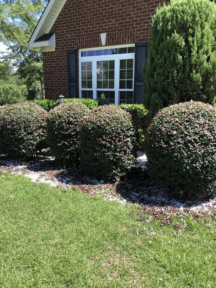 Custom landscape installation for beautiful yards across Macon, GA - Humberto Angel Landscaping