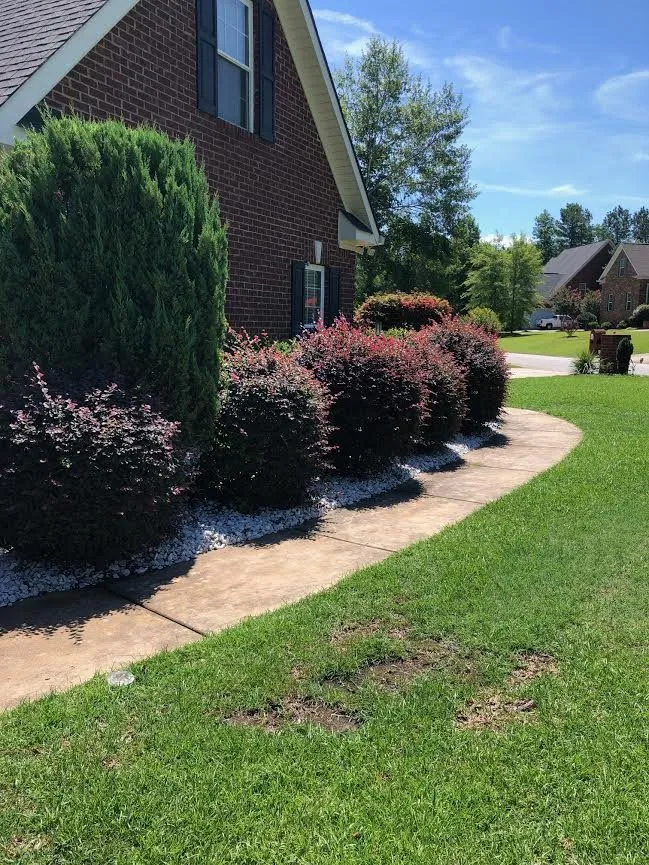 Top-rated landscaping services for homes in Macon, GA by Humberto Angel Landscaping