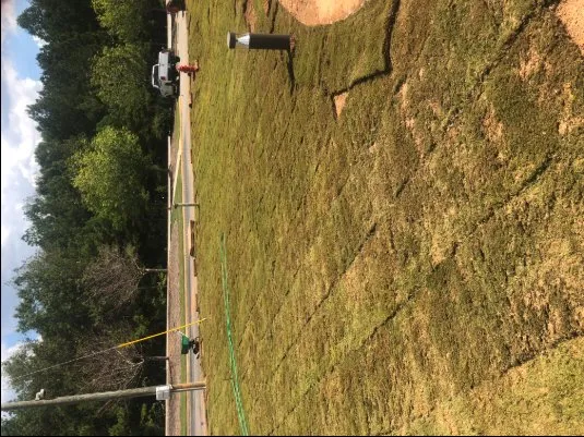 Professional landscaping services in Macon, GA - Humberto Angel Landscaping