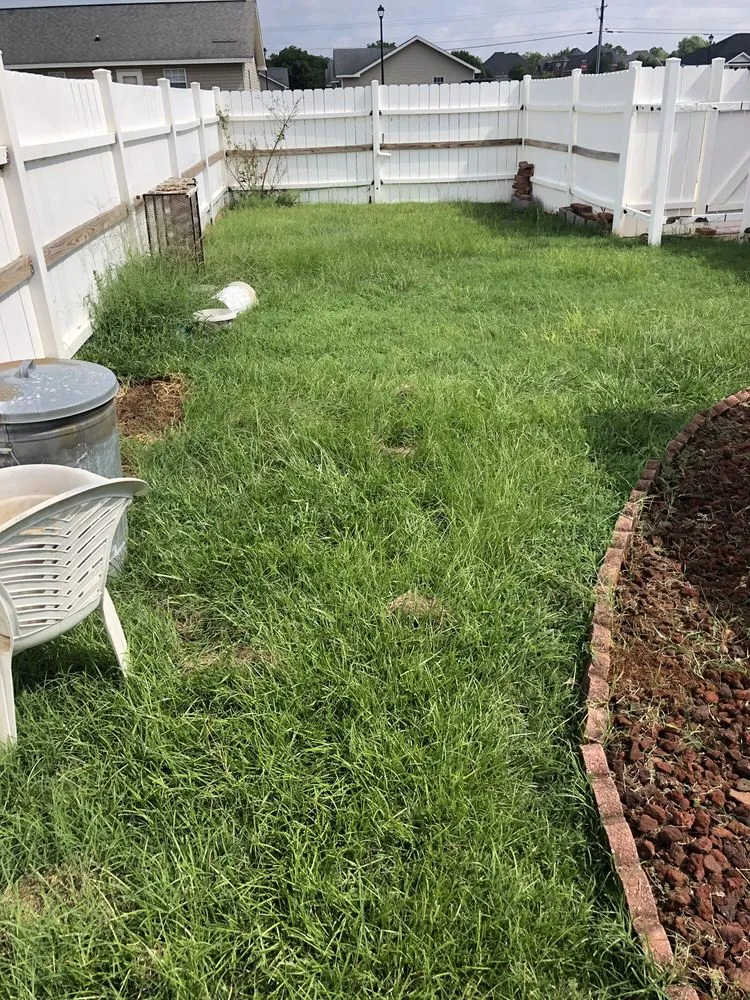 Local yard cleanup service experts serving Macon, GA - Humberto Angel Landscaping