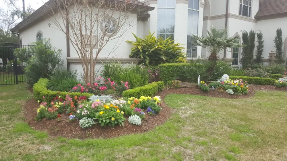 Top-rated yard cleanup service in Houston, TX by Humberto Lawn Service