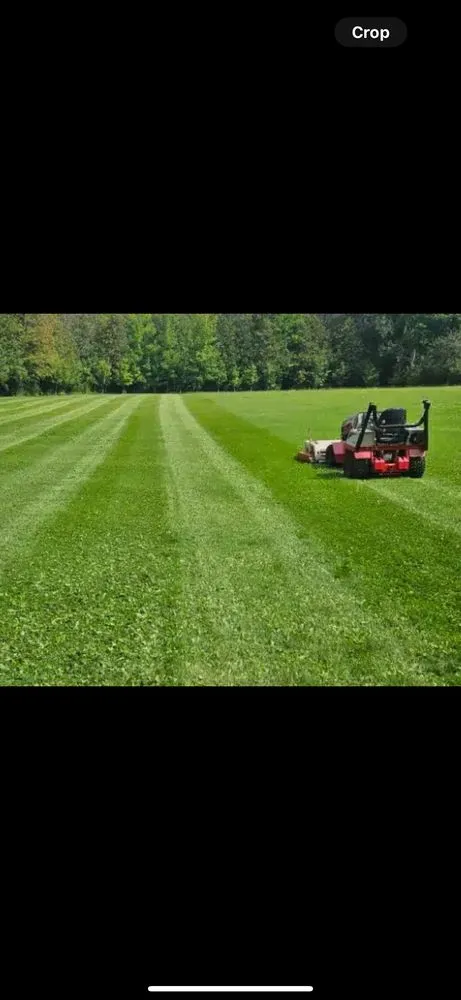Custom lawn mowing service experts serving Palmetto, GA - Humberto Patraca Lawn Care