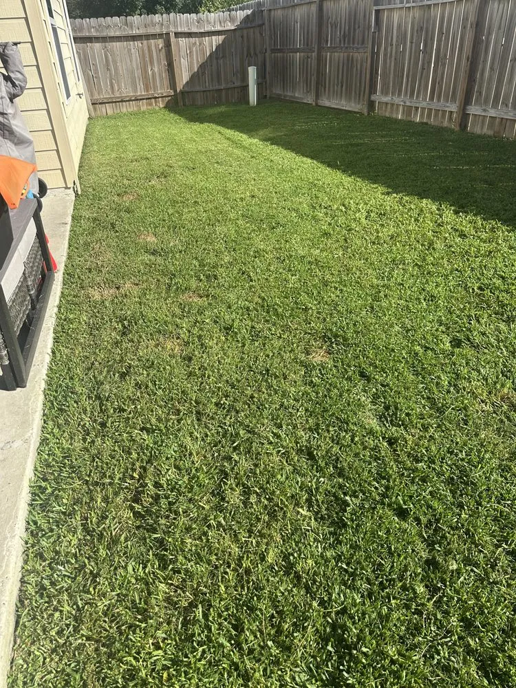 Local landscape design in Houston, TX by Humberto Segovia Lawn Service