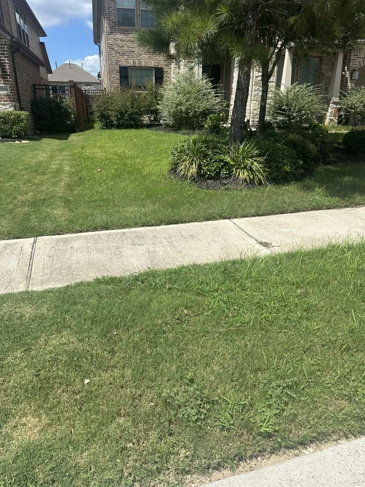 Custom residential landscaping for beautiful yards across Houston, TX - Humberto Segovia Lawn Service