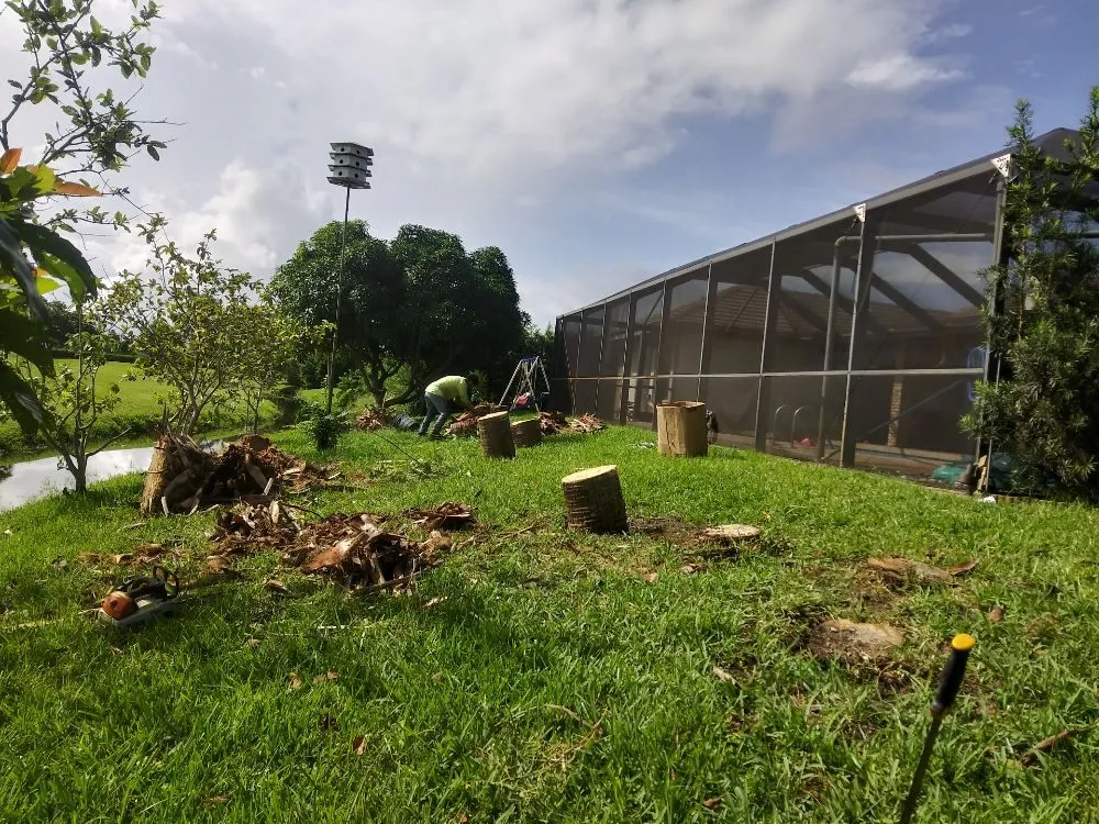 Affordable landscape installation with custom design in Miami, FL by Humbertooferup