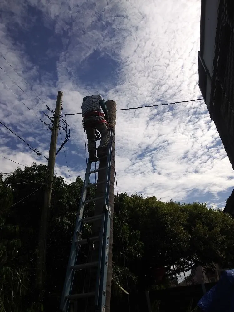 Local landscape installation in Miami, FL by Humbertooferup