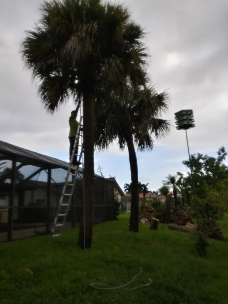 Local landscape design experts serving Miami, FL - Humbertooferup