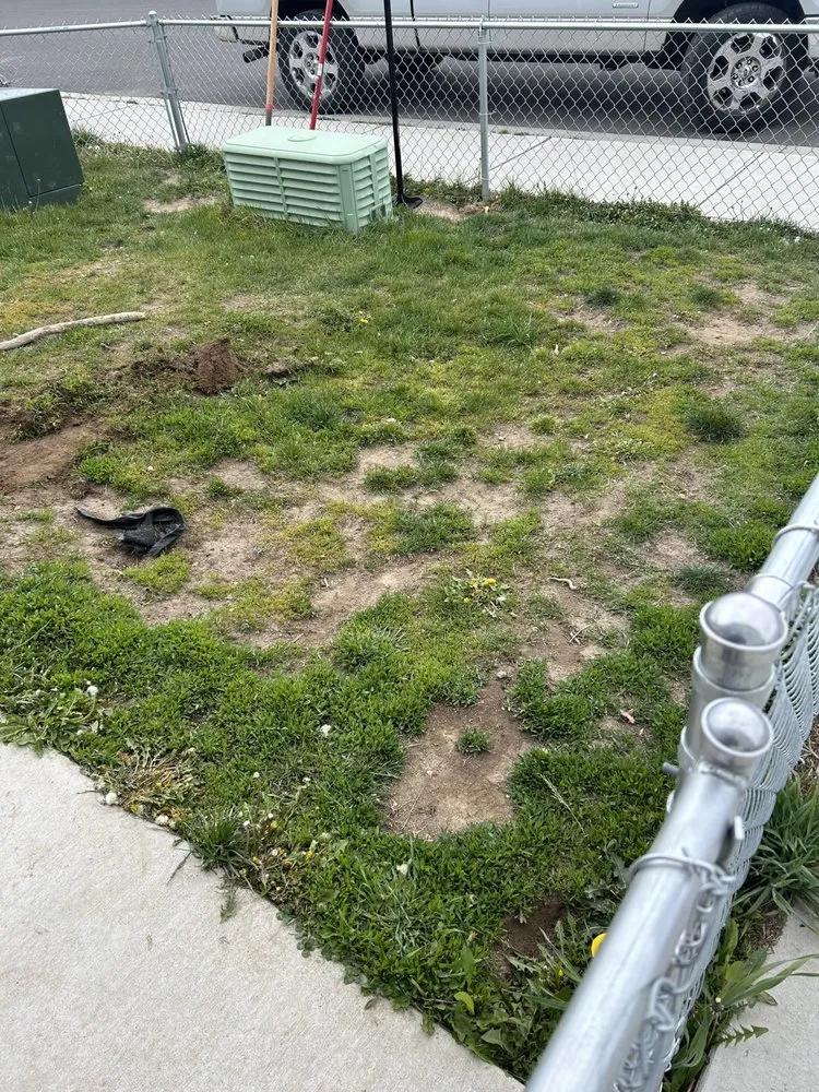 Expert residential landscaping experts serving Deer Park, WA - Humble Beginnings General Landscaping