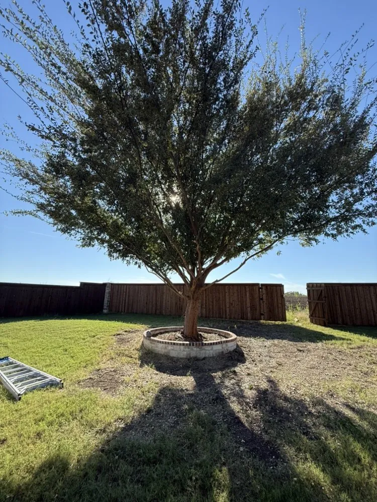 Affordable residential landscaping for homes across Bonham, TX - Humble Beginnings Landscaping