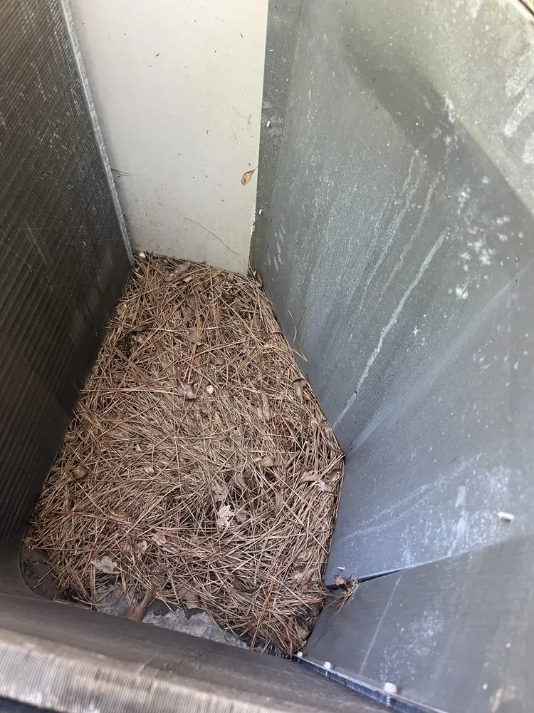 Expert landscape design for beautiful yards across Little River, SC - Humble Handyman and Lawncare Service