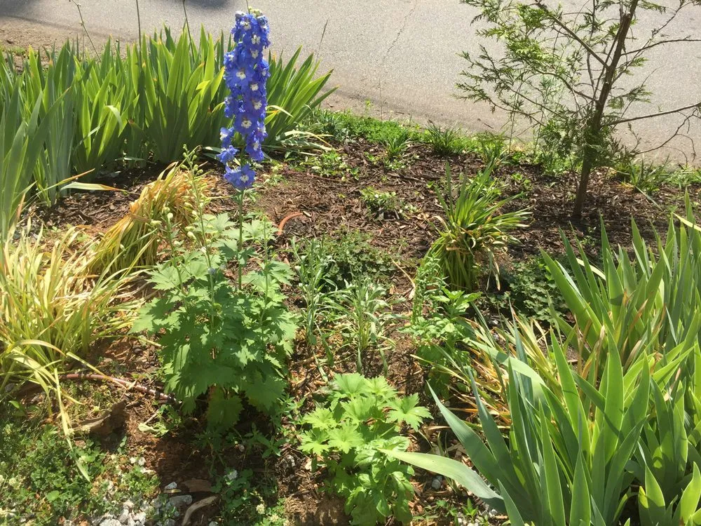 Expert landscape design with custom design in Atlanta, GA by Humble Harvest Garden