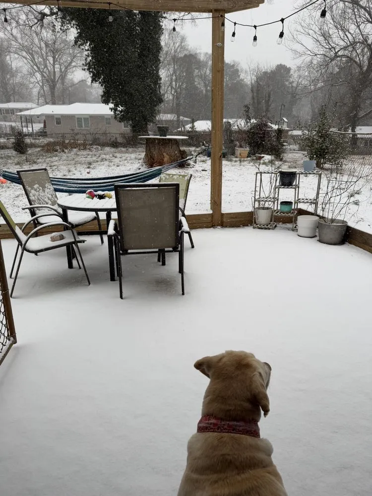 Top-rated landscape design in Atlanta, GA - Humble Harvest Garden