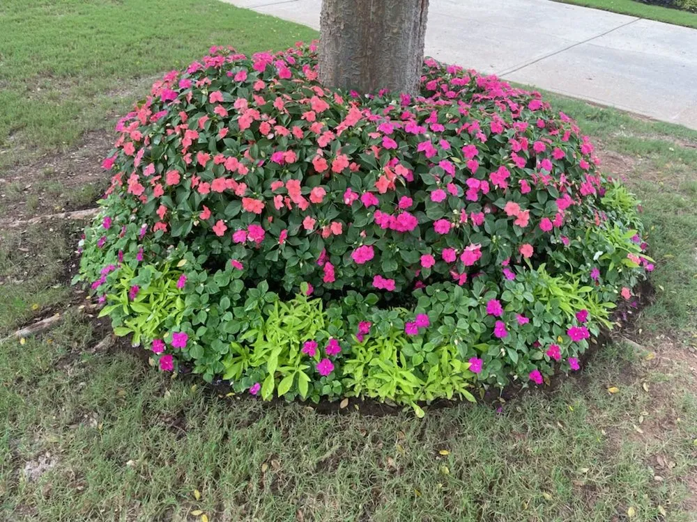 Top-rated lawn mowing service with custom design across Woodstock, GA - Humble Hero Solutions