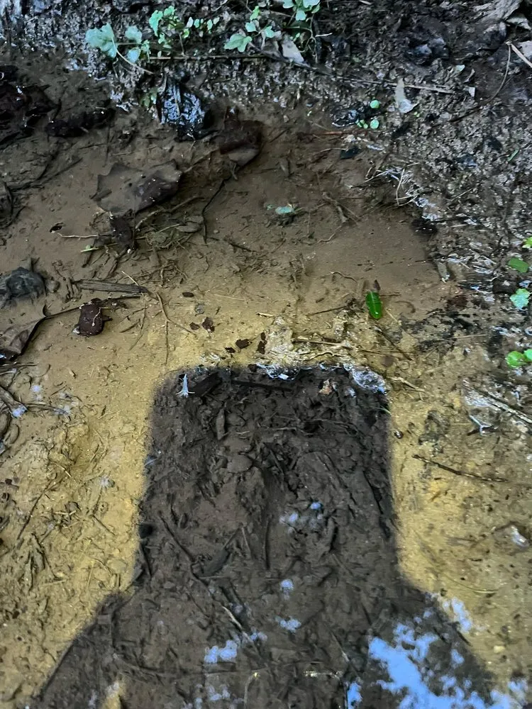 Local lawn care service experts serving Woodstock, GA - Humble Hero Solutions