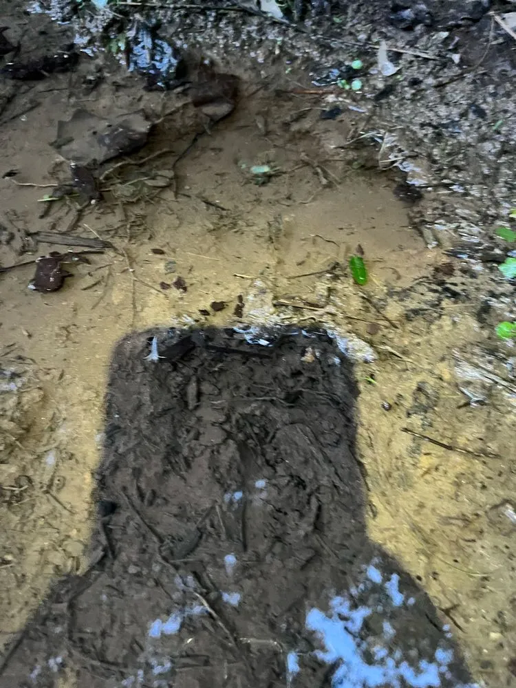 Local landscaping services experts serving Woodstock, GA - Humble Hero Solutions