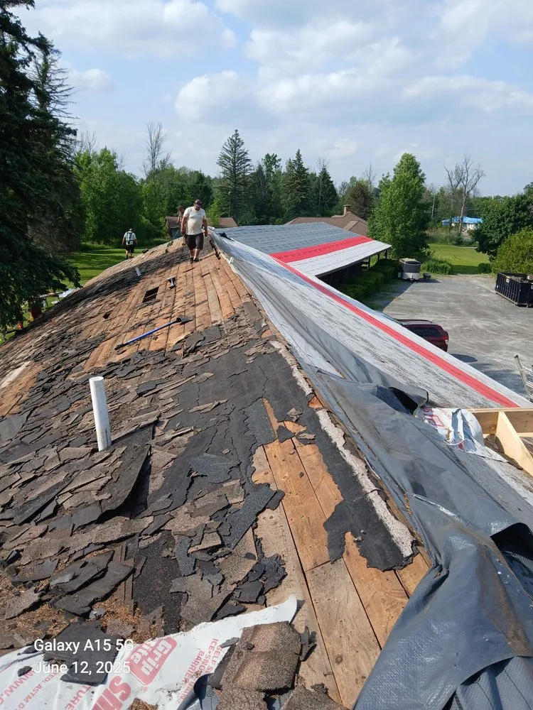 Top-rated yard cleanup service experts serving Altona, NY - Humble Homes