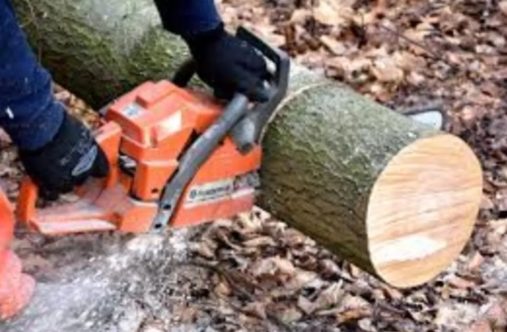 Affordable landscaping services in Humble, TX - Humble Landscaping Services