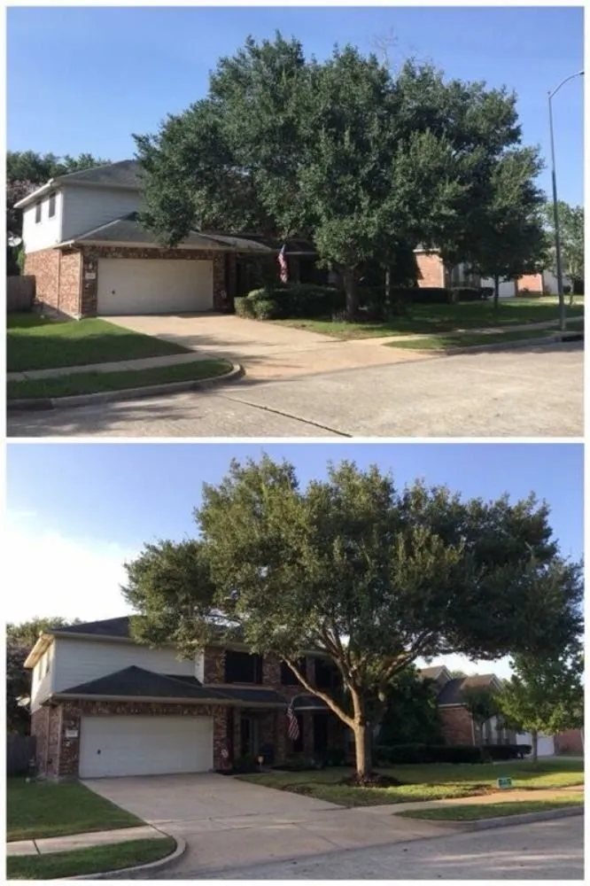 Affordable outdoor landscaping experts serving Humble, TX - Humble Landscaping Services