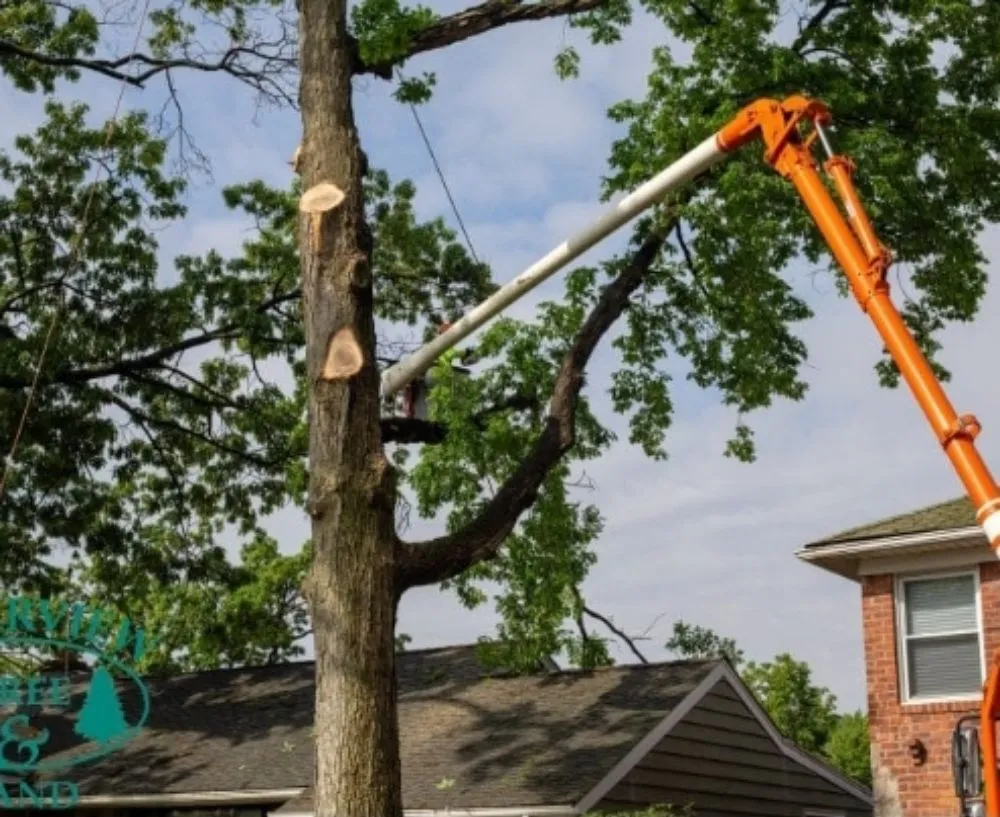 Professional lawn mowing service in Humble, TX by Humble Landscaping Services