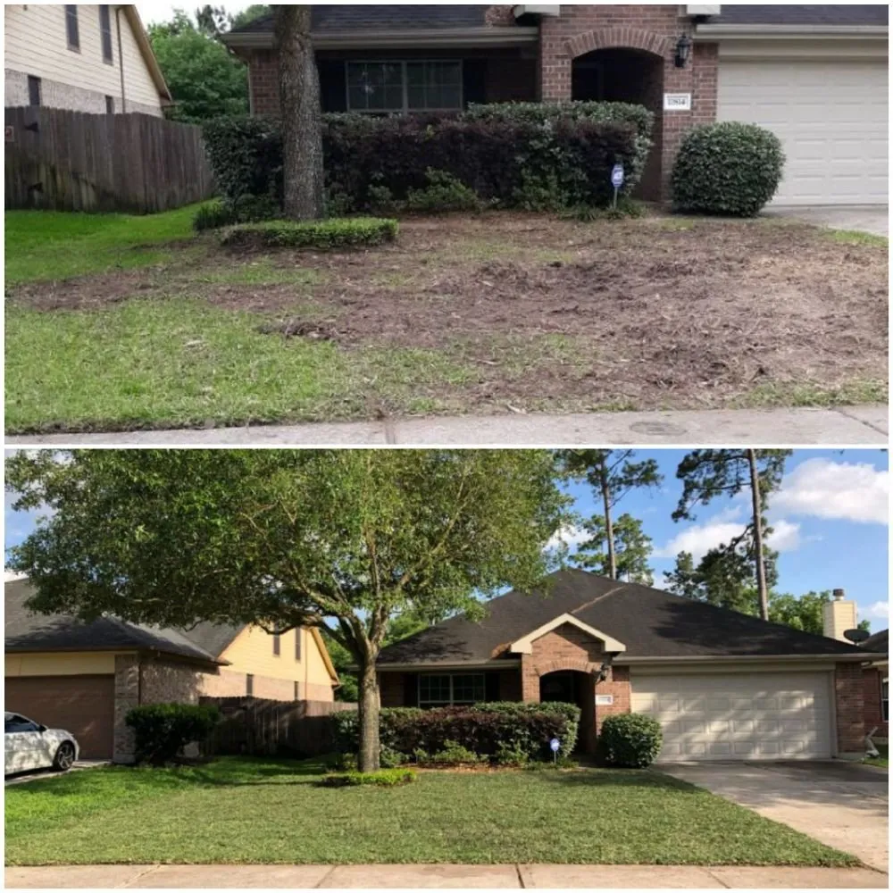 Local garden landscaping for outdoor upgrades in Humble, TX by Humble Landscaping Services