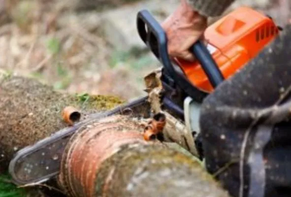 Humble Landscaping Services