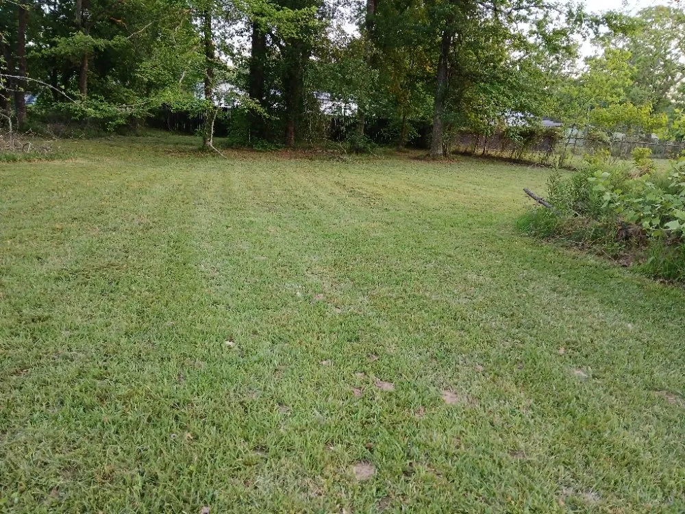 Custom landscape design for outdoor upgrades across Humble, TX - Humble Lawn Care