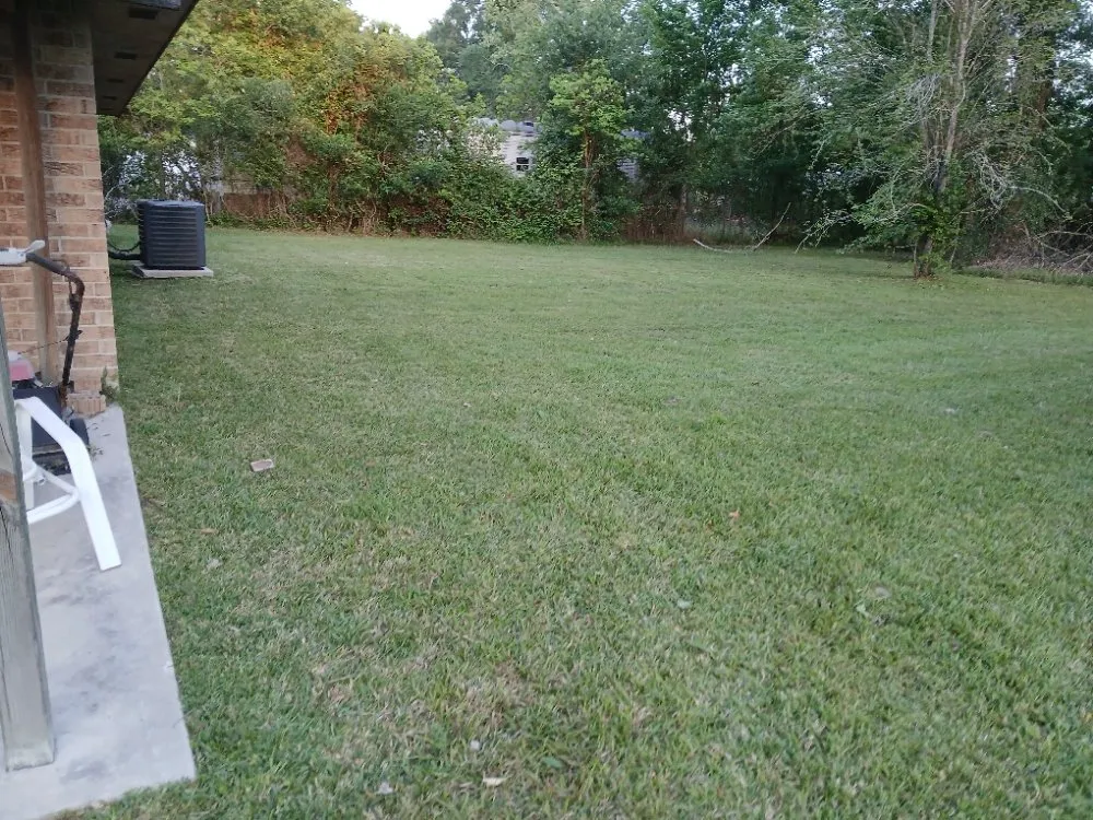 Expert lawn mowing service experts serving Humble, TX - Humble Lawn Care