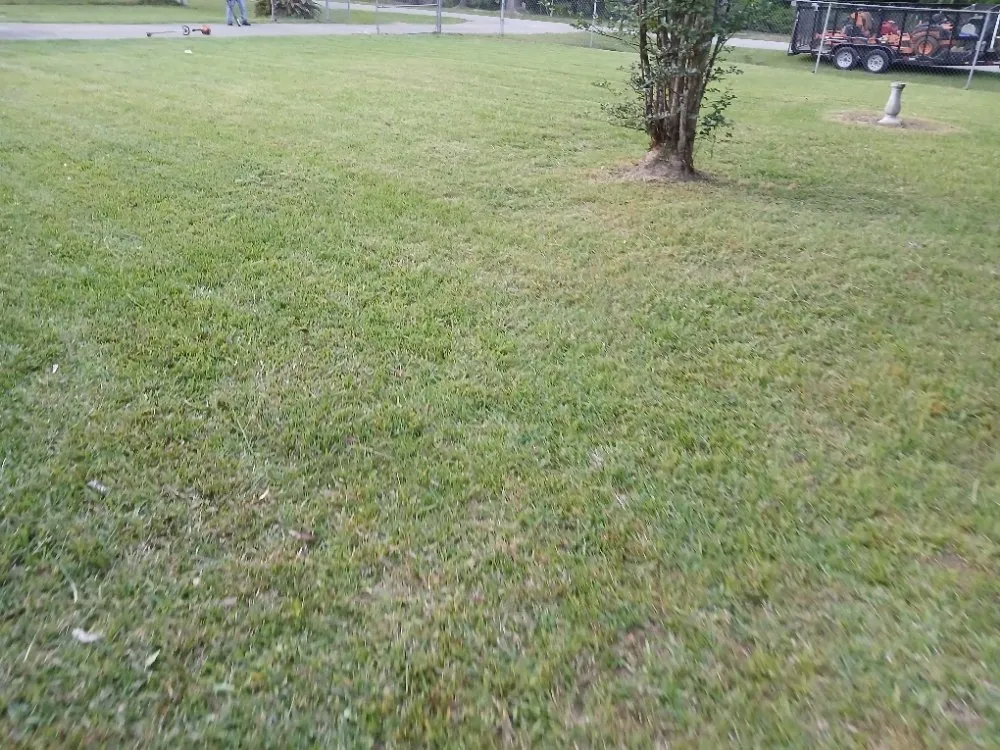 Trusted landscape design near you across Humble, TX - Humble Lawn Care