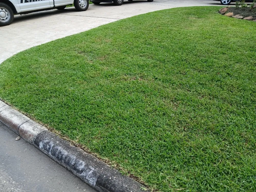 Trusted lawn mowing service for beautiful yards in Humble, TX by Humble Lawn Care