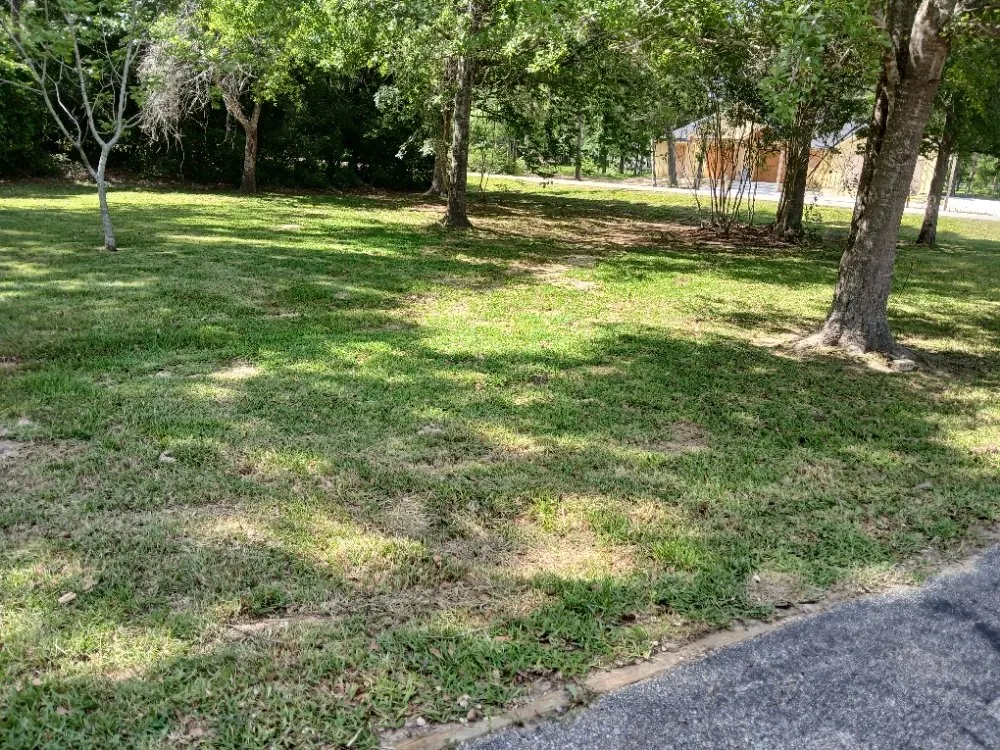 Reliable landscaping services in Humble, TX - Humble Lawn Care