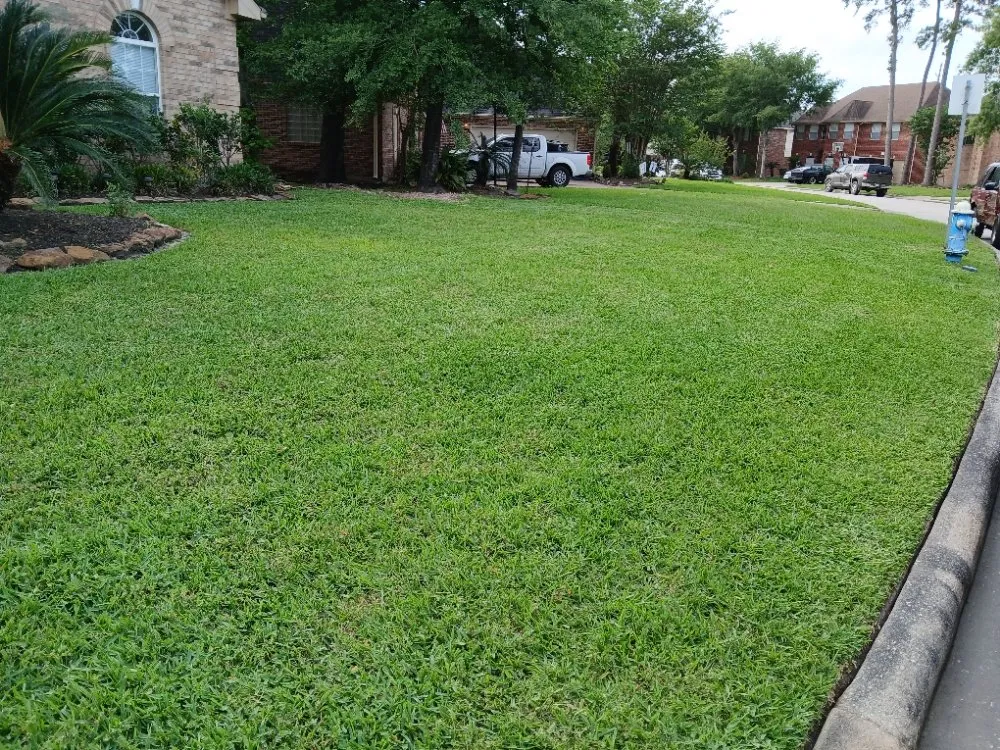 Expert yard cleanup service in Humble, TX by Humble Lawn Care