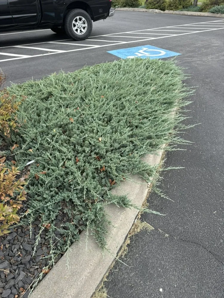 Local landscape installation in Post Falls, ID - Humble Mountain Services