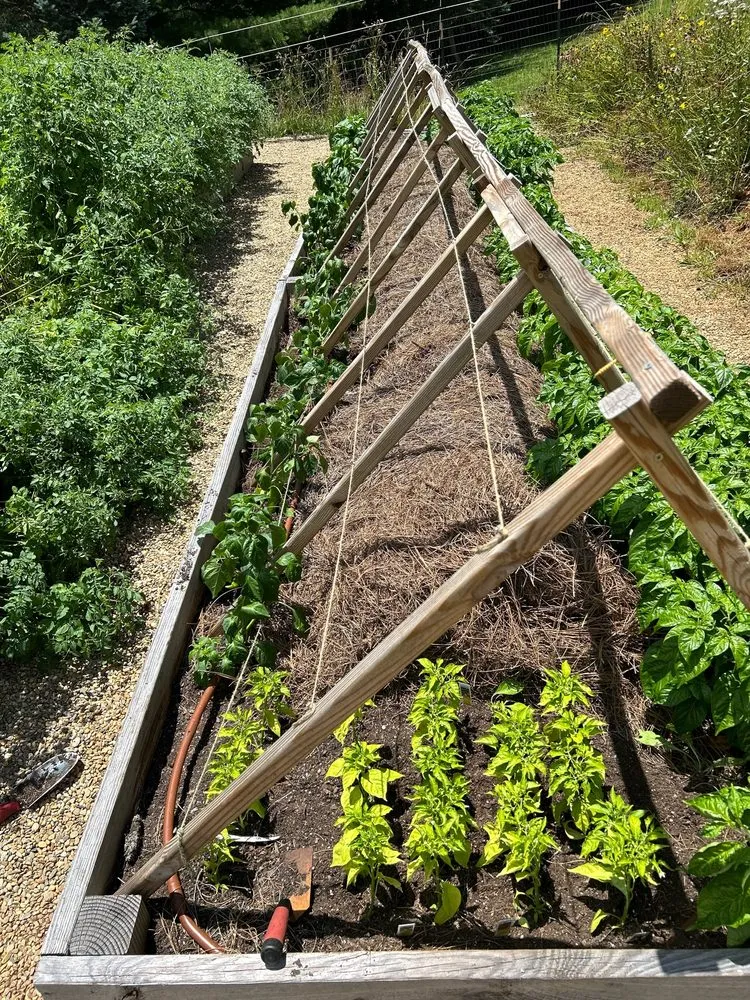 Top-rated outdoor landscaping in Asheville, NC - Humble Roots Landscaping