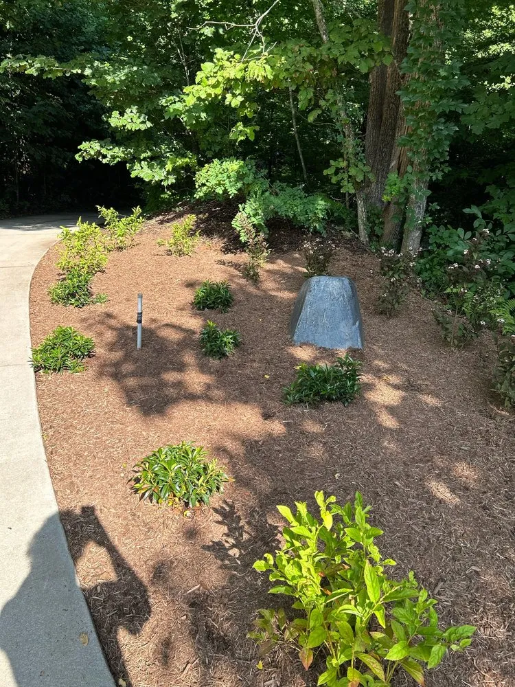 Local landscape design for homes in Asheville, NC by Humble Roots Landscaping