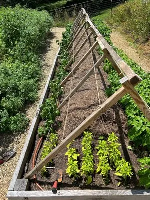 Humble Roots Landscaping Logo