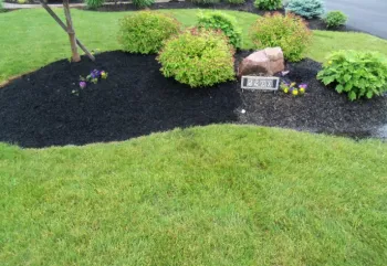 Affordable yard cleanup service in Cicero, NY by Hummer Lawn & Snow