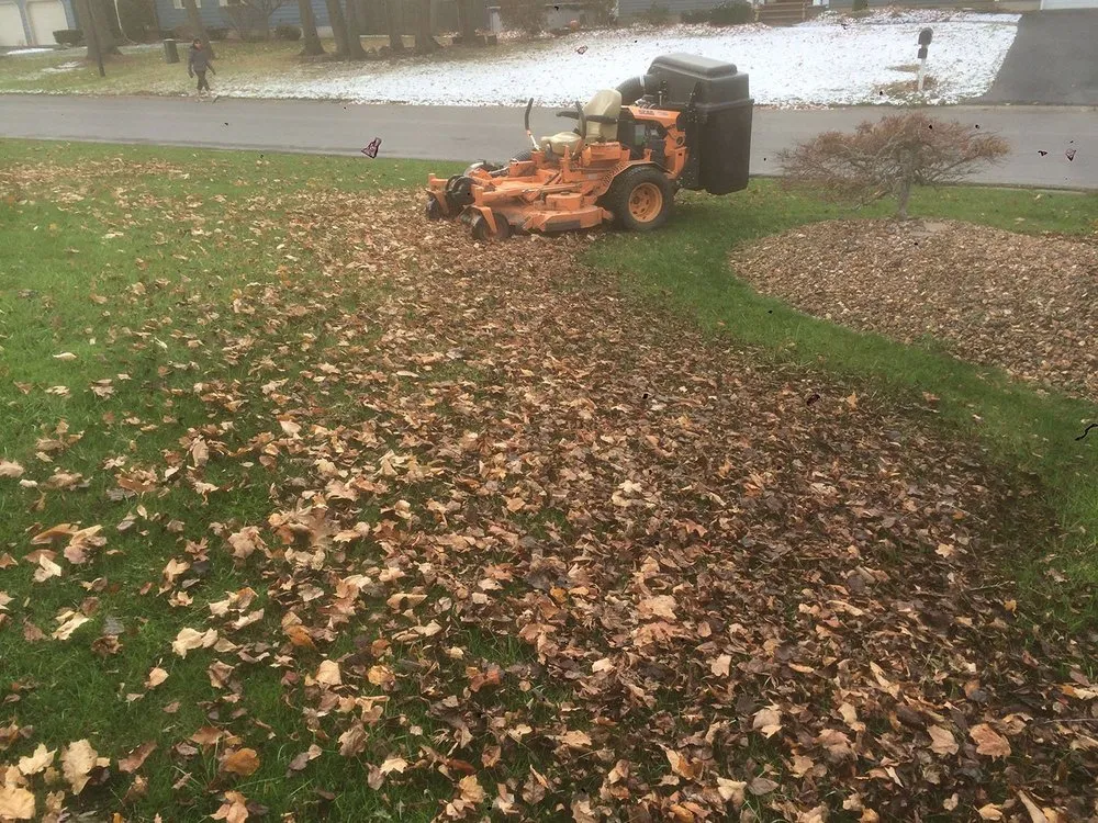 Top-rated yard cleanup service in Cicero, NY by Hummer Lawn & Snow