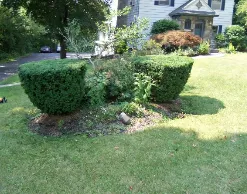 Trusted yard maintenance in Cicero, NY - Hummer Lawn & Snow