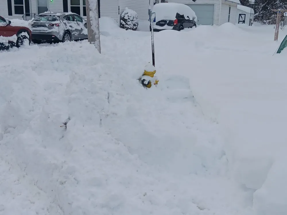 Top-rated residential landscaping for beautiful yards in Cicero, NY by Hummer Lawn & Snow