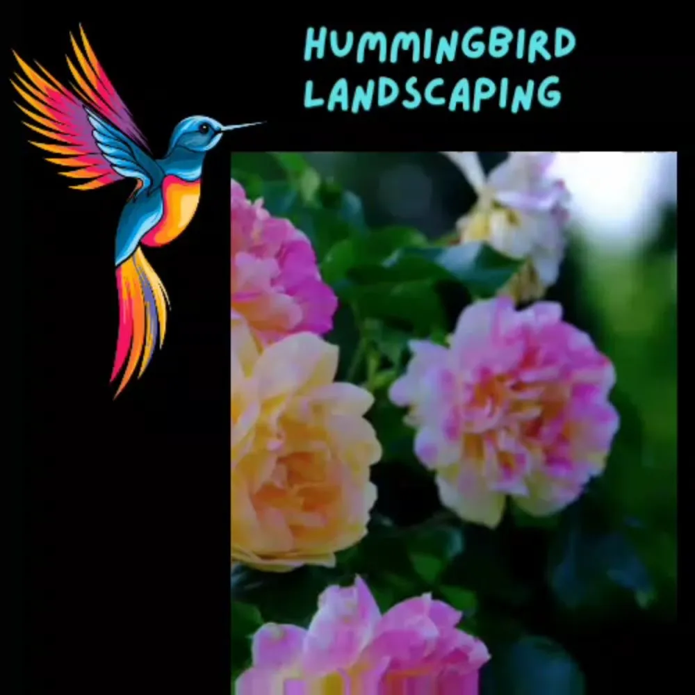 Custom outdoor landscaping in Des Moines, IA - Humming Bird Landscaping