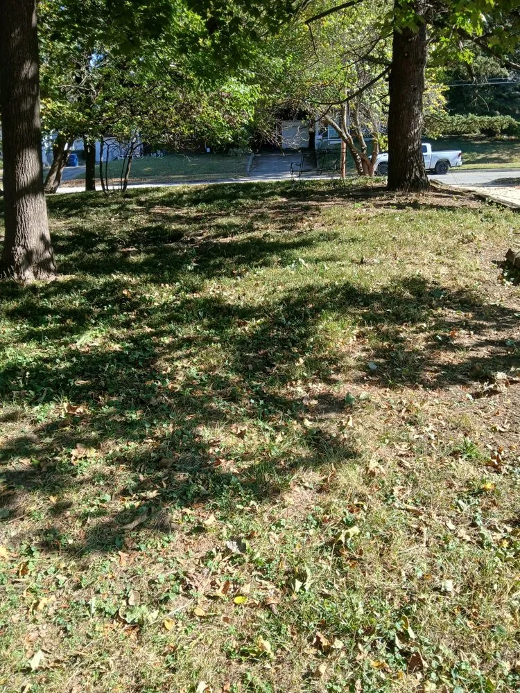 Expert garden landscaping in Des Moines, IA - Humming Bird Landscaping