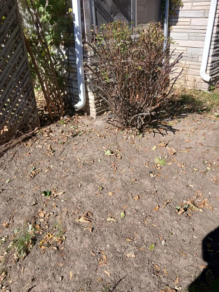 Local landscape installation experts serving Des Moines, IA - Humming Bird Landscaping