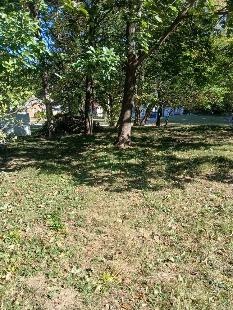 Expert lawn care service in Des Moines, IA by Humming Bird Landscaping