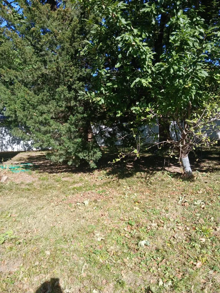 Professional residential landscaping experts serving Des Moines, IA - Humming Bird Landscaping