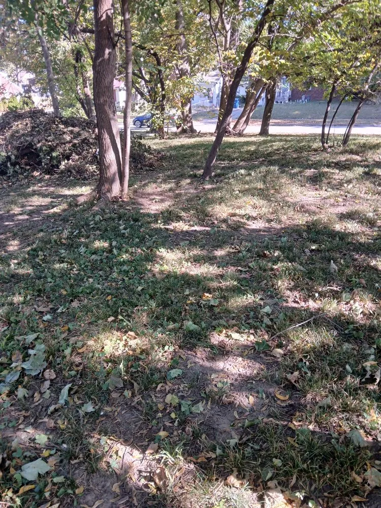 Custom outdoor landscaping for homes across Des Moines, IA - Humming Bird Landscaping